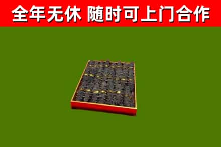凉山市回收海参